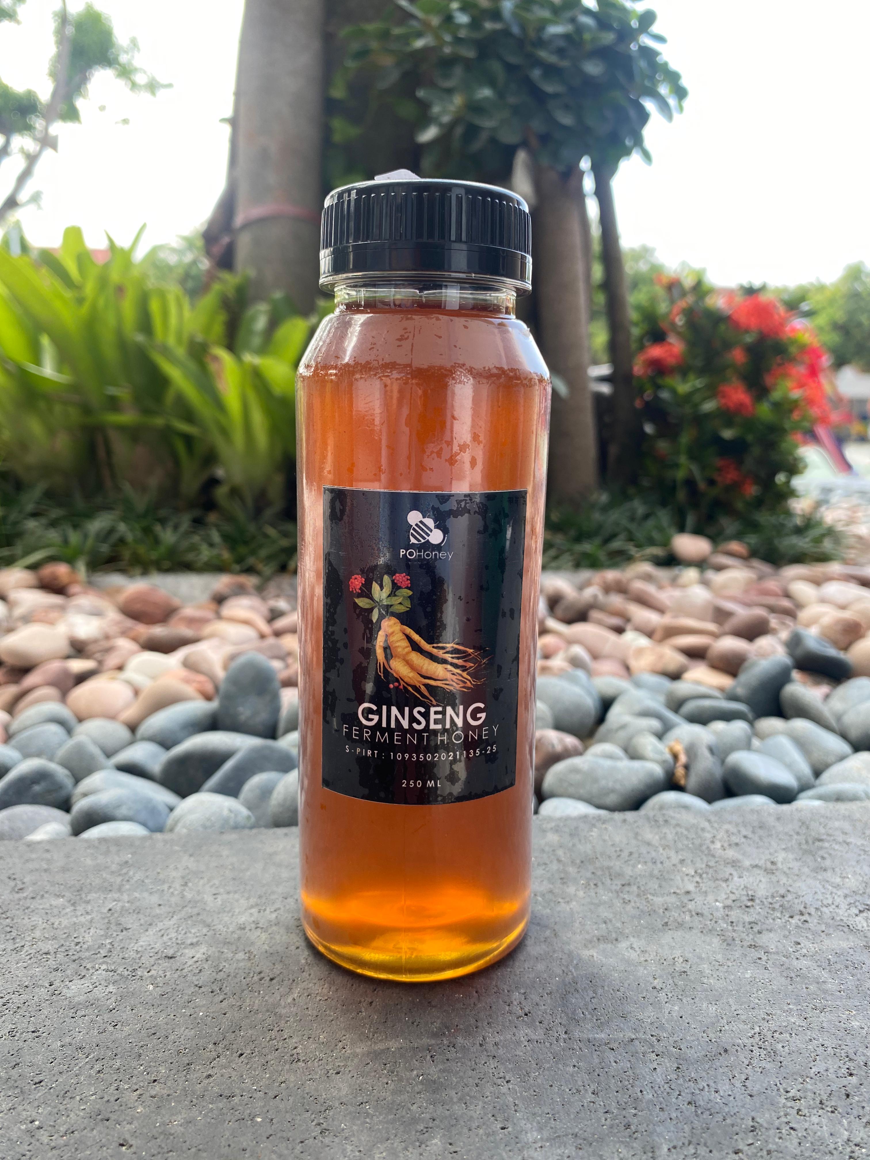 G Honey - Madu Klanceng (Trigona Honey)