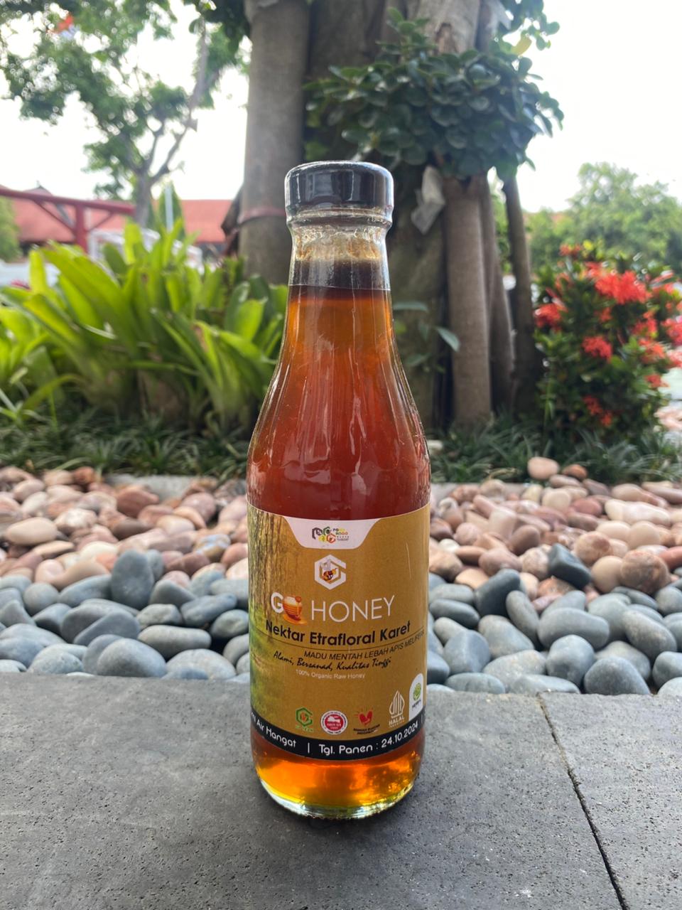 Madu extrafloral karet