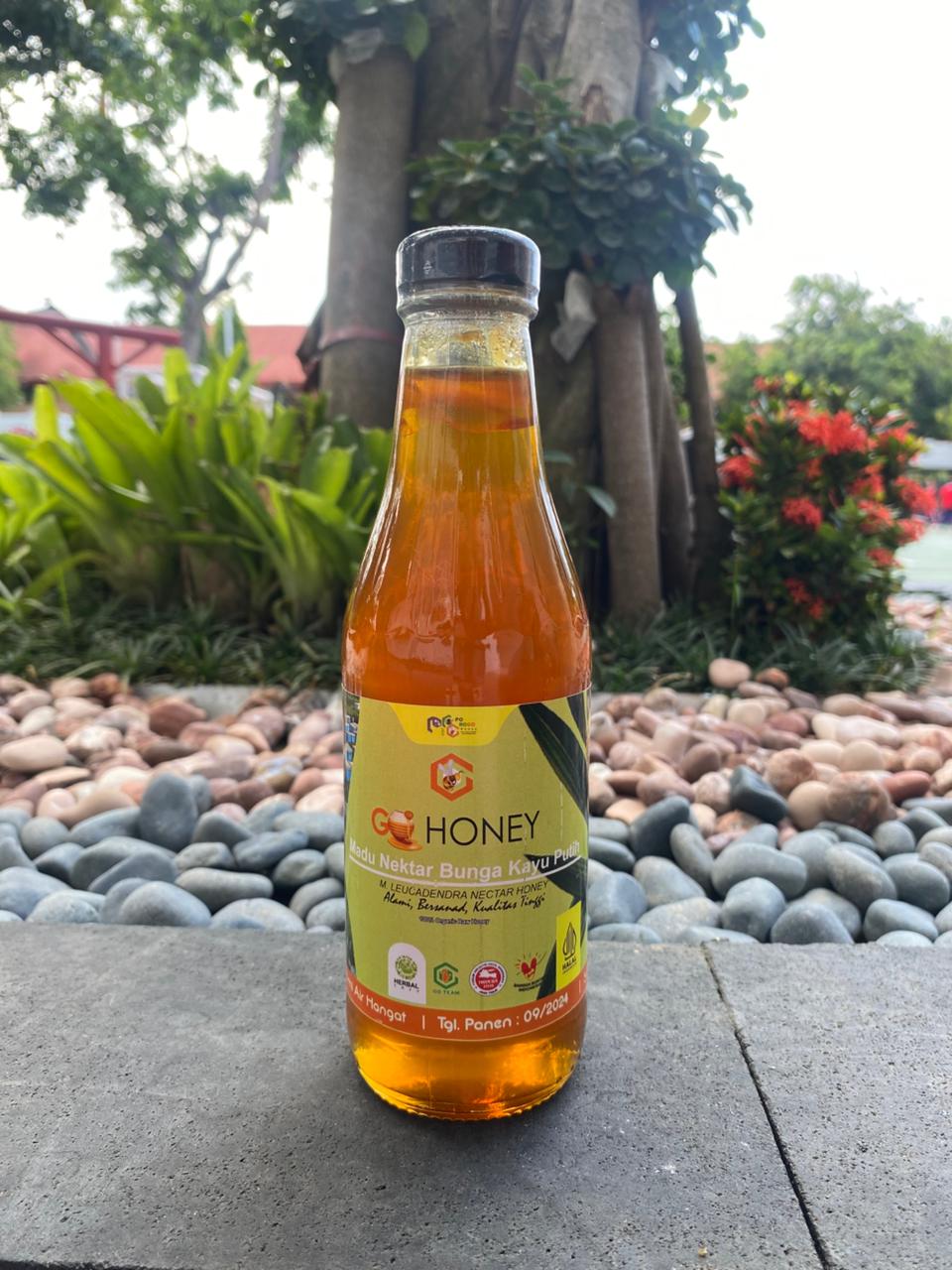 Madu Nektar Bunga Kayu Putih (M. Leucadendra Nectar Honey)
